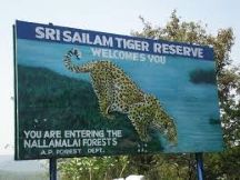 Srisailam tiger reserve